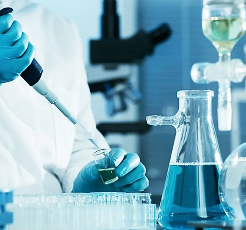 如何證明反轉錄第一鏈cDNA成功了？